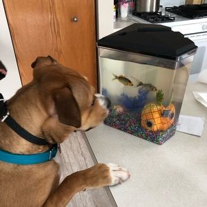 Meet your Posher, Leah